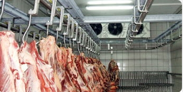 肉的營養品質與冷庫溫度波動有關嗎？